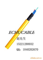 上海易初電線電纜 專業(yè)電氣設(shè)備用電纜產(chǎn)品列表與經(jīng)營(yíng)概述