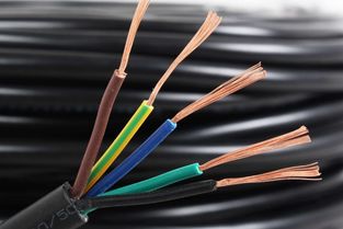 WDZBN-BYJ電線詳解 特性、應(yīng)用與行業(yè)認(rèn)知